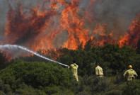 Foça'da orman yangını: 4 kişi gözaltında