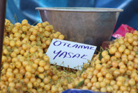 Festivaldeki yazı tepki çekti, zabıta müdahale etti
