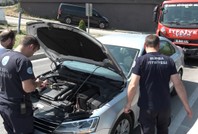 Trafiği kilitleyen yavru kedi herkesi kandırdı
