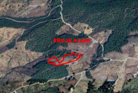 Bakanlığın gerekçesi dikkat çekti: Define avına izin çıkmadı