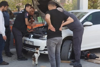 Motorda sıkışan yavrularını böyle bekledi