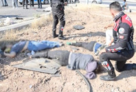 AYT yolunda feci kaza: Ölü ve yaralılar var