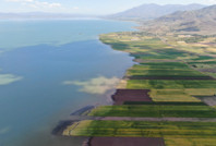 Baraj yanında çiftçilik bu sene de hüsranla sonuçlandı