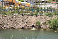 İhbar yağdı: Bir kez daha ceza yediler