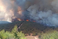 Foça'daki yangına 7 uçak, 14 helikopterle müdahale