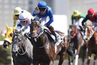 Anafartalar Koşusu’nda rekor: Vedat Abiş, Treasure Island ile zafere ulaştı