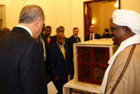 Erdoğan'ın aslanları yavruladı