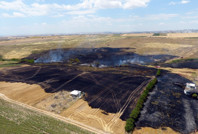 Alevler buğday tarlasına sıçradı: 10 dönüm emek kül oldu