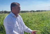 Fiyatlara karşı öfke büyüdü: Kahvede çay içebilmek için 5 kilo satmak gerekiyor