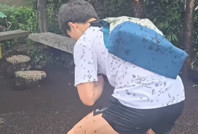 Şehri sinekler bastı: Yürümek imkansız, kent sakinleri sabırsız