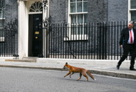 Kabineye sürpriz misafir