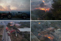 Çeşme yanıyor: Hasarın boyutu gün ağarınca ortaya çıktı