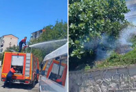 Elektrik akımına kapılan karga yangına neden oldu