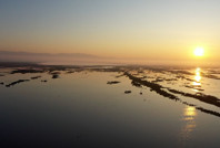 Kriz kapıda: 5 yılda 1 milyar göçmenle karşı karşıya kalabiliriz