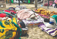 Parkta zeytin direnişi