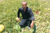 Fiyatlar dibe vurdu, karpuz tarlada kaldı