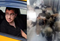 Köpekleri öldürmekten yargılanan veteriner suçlamaları reddetti