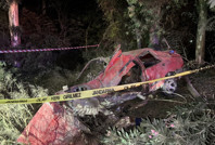 Ağaca çarpan 2 kişi öldü