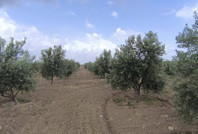 Tartışma büyüdü: Muğla'yı ayağa kaldıran rapor