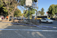 Beşiktaş'ta ağaç dalı 3 kişiyi yaraladı