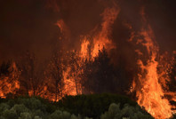 61 orman yangınıyla ilgili 4 kişi tutuklandı