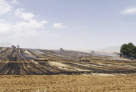 Balya makinesinden başladı, 100 dönüm araziyi kül etti