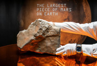 Mars’tan geldi, rekor fiyata satıldı