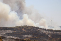 Tekirdağ'daki orman yangını kontrol altına alındı
