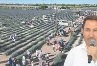 AKP’li Karatay Belediyesi’nden lavanta festivaline 8 milyon TL