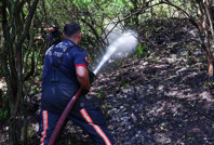 Adapazarı'ndaki orman yangını kontrol altına alındı