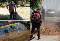 Muhtar gördüğü manzara karşısında çileden çıktı: 'Şeref yoksunu, adi'