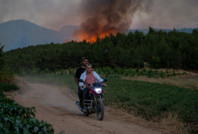 Sakarya'dan Bilecik'e sıçradı... Ormanlar kül oldu