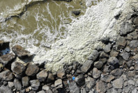 Akdeniz'de tedirgin eden manzara: 'Müsilajı andırıyor'