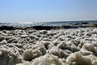 Hatay'da endişe yaratan görüntü: Deniz köpürdü