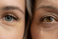 Bilim insanları organları haritaladı: İşte yaşlanmanın hızlandığı yaş