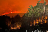 Murat Kurum, yangın bilançosunu açıkladı