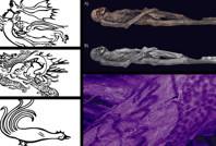 2 bin 500 yıllık buz mumyasından çıkan dövmeler şaşırttı