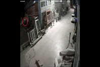 Havalı tüfekle vurulan köpek felç kaldı