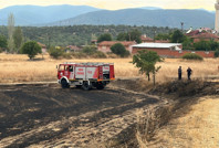 Elektrik teli yangın çıkardı, tarlalar kül oldu