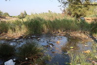 Göletler çöple doldu, muhtar isyan etti: "Kirletecekseniz gelmeyin"