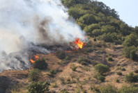 Şarköy’de yangın çıktı