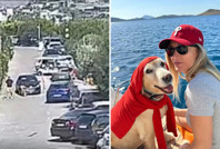 Sosyal medyada tepki yağmıştı: O vicdansıza karşı harekete geçti