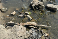 Sular çekildi, tarihi tüfek ortaya çıktı