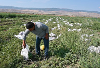 Üretici dertli: Hava ısındı, bir maliyet kalemi daha eklendi