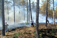 Denizli'de orman yangını