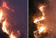 Bir orman yangını da Hatay'da