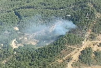 Muğla'da orman yangını: Kısa sürede yayıldı