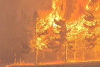 Mudurnu’daki orman yangını sonrası 1 kişi tutuklandı
