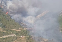 Anamur'da orman yangını
