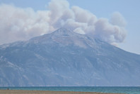 Suriye sınırında orman yangını: Dumanlar Hatay'dan görüldü